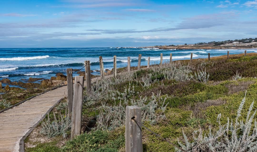 Asilomar State Beach